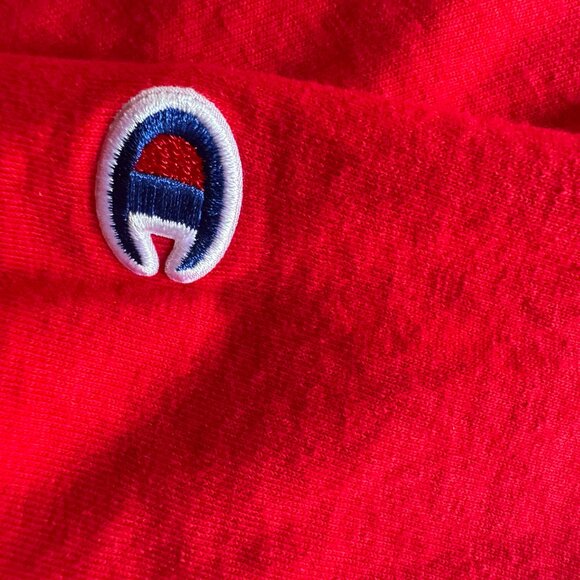 Champion University of Wisconsin Bucky T-shirt - Unisex size L - Picture 4 of 6